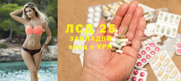 apvp Дмитриев