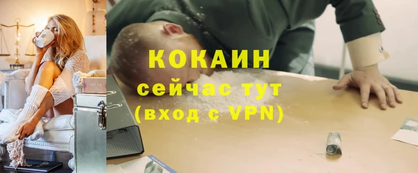 apvp Дмитриев