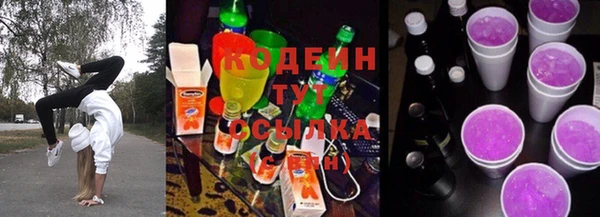 apvp Дмитриев