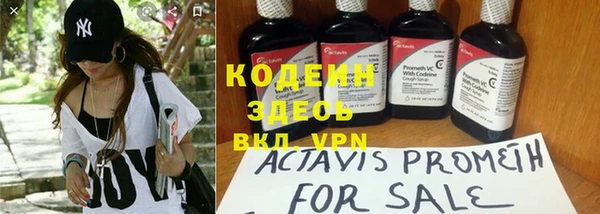 apvp Дмитриев